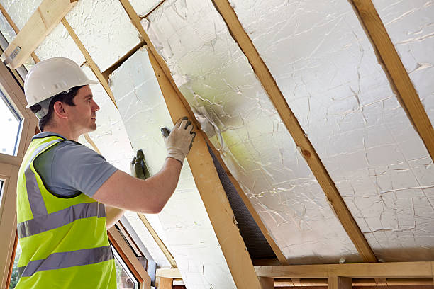 Best Insulation Removal  in Palm Bay, FL